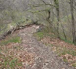 Eiszeitpfad - Burgfelsenpfad