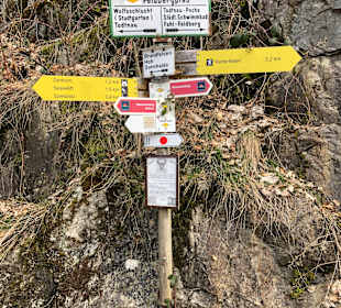 Wandern Todtnauberg