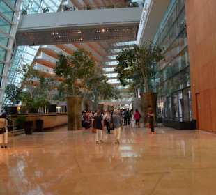 Skypark Marina Bay Sands