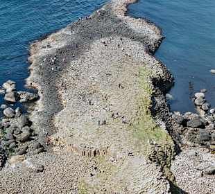 Organ's Pipe, Giant's Causeway,  North Ireland