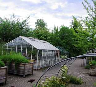 Gewächshäuser Aufzucht