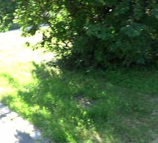 Seegarten-Anlage / Kurfürsten-Anlage