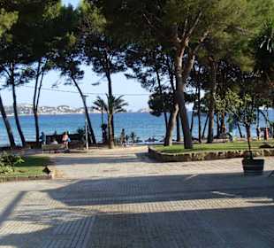 Platja de Tora