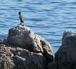 Bei der Lungomare (Strandpromenade) bei Lovran