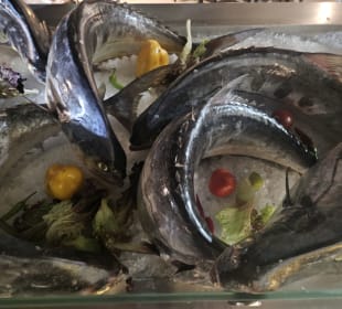 Gastro