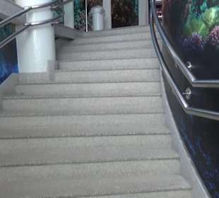 National Aquarium Malta