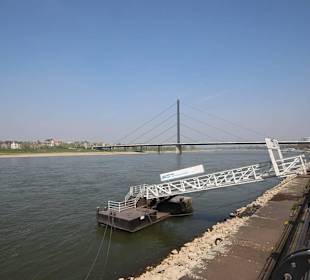 Rheinterrassen Blick über den Rhein