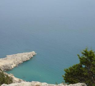 Ausblick