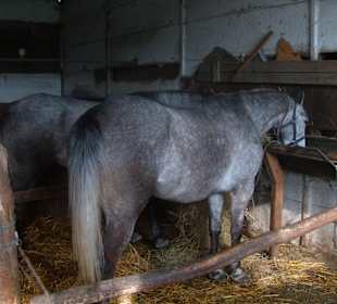 Die 2 gehen morgen zum Turnier