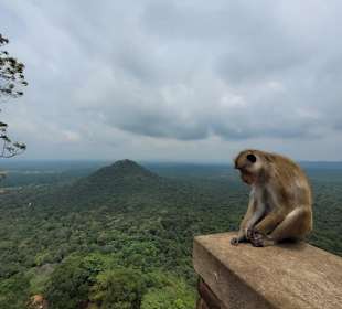 Ausblick vom Sigiriya