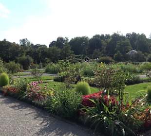 Botanischer Garten München