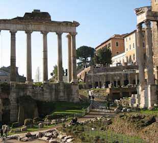 Relikte des Saturn-Tempels