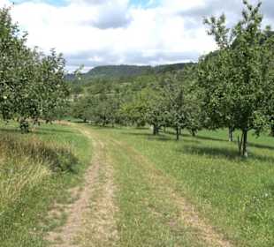Wanderweg Ammerbucher Gigeleswegle