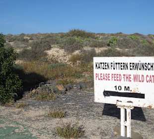 Jetzt ist es leicht zu finden