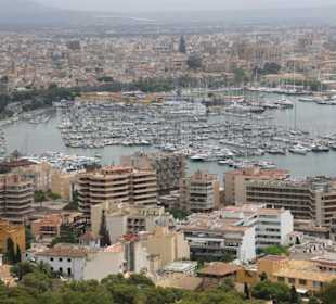Blick auf Palma und den Hafen