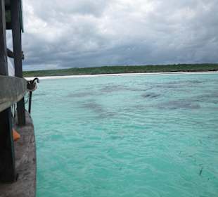 Mnemba