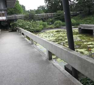 Park Café Planten un Blomen 