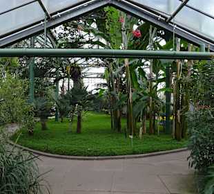 Wilhelma Stuttgart