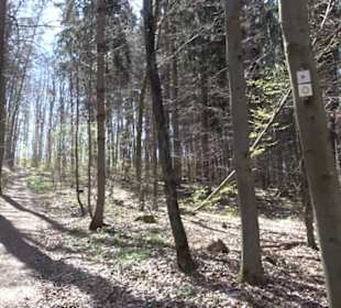 Wanderung Florianrunde