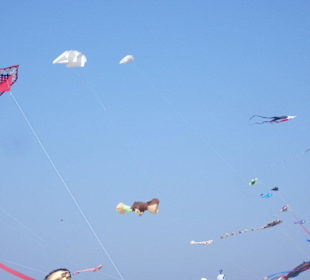 Auf der "Familienlagune" mit "Watten-Insel" 