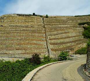 Der Käsberg mit Wanderweg