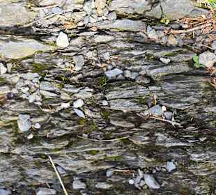 Am Plöcken Wandern der Weg