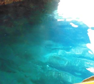 Jasknie Morskie Blue Grotto