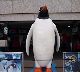 Eingangsbereich Sea Life London Aquarium