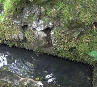 Sternberg Brünnele