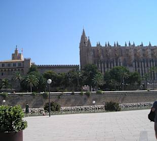 Katedra w Palma de Mallorca