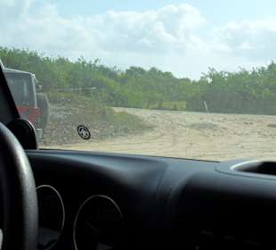Blick aus dem Jeep