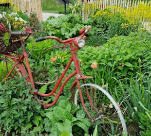 Mit alten Fahrrad bestückt