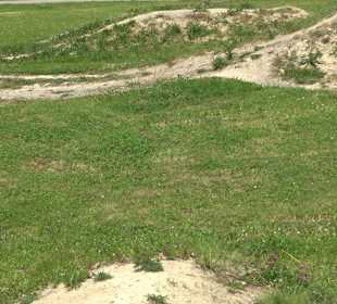 Pumptrack Oberiflingen