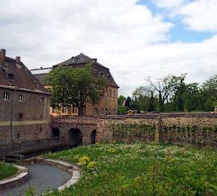 Schloß Trebsen mit Weinspalieren