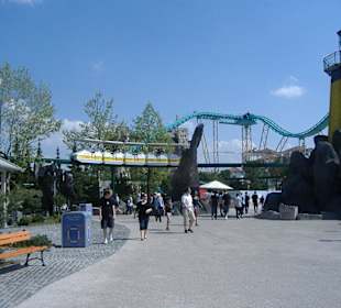 Im Themenbereich Island