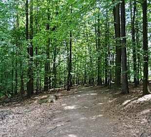 Rund um die Bastei