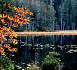 Herbststimmung am See
