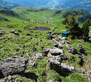 Im Alpenblumengarten
