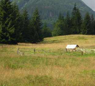 Tatrzański Park Narodowy