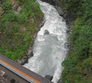 Mit der Train in der Natur Alaskas