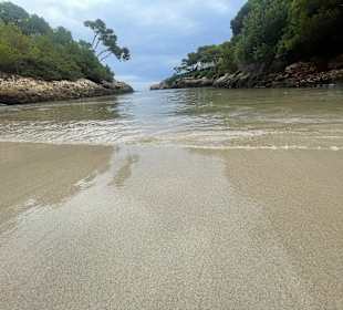 Strand