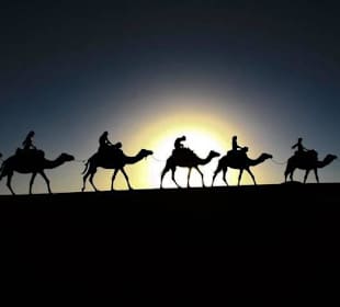 Trips from marrakech