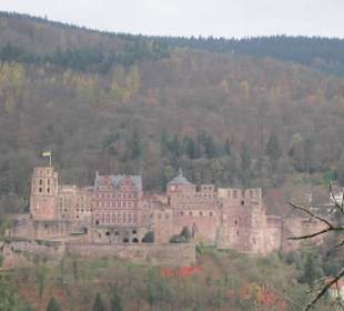 Schlangenweg zum Philosophenweg