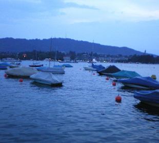 Lago de Zúrich