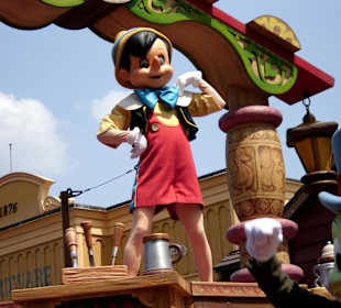 Disney's Magic Kingdom Orlando