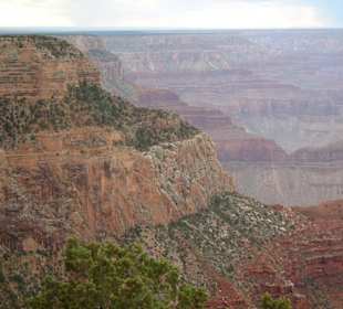 Parco nazionale Grand Canyon