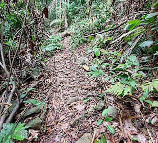 Parque Natural Obô do Príncipe