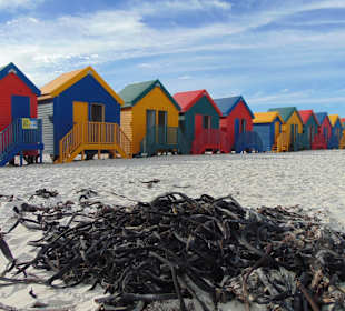 Muizenberg Beach