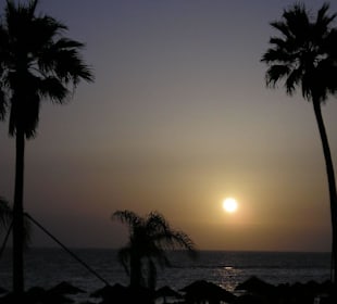 der Strand Playa del Duque