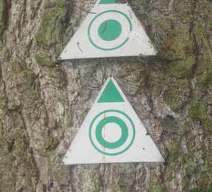 Rundwanderweg Aying